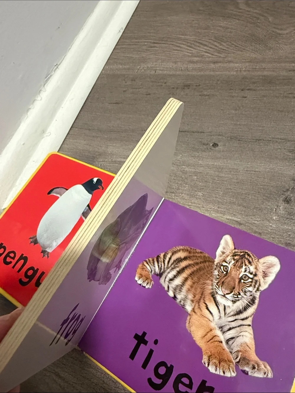 Animals Baby Board Book